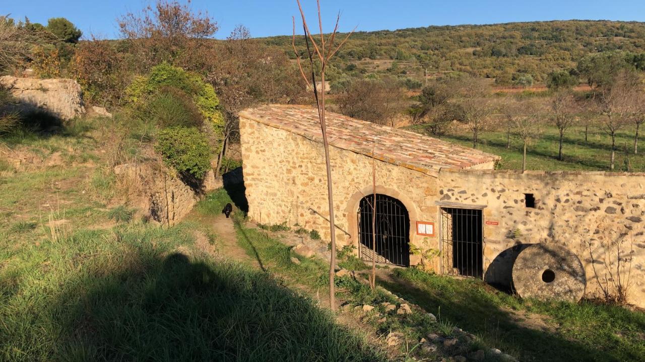 Val de Bruyères - Gîte 6 personnes 4étoiles Neffies Exterior foto